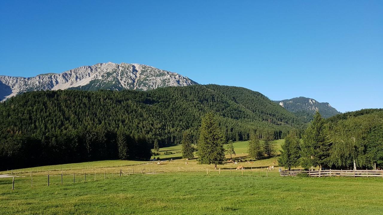 Ferienwohnungen Mamauwiese Gutenstein Luaran gambar