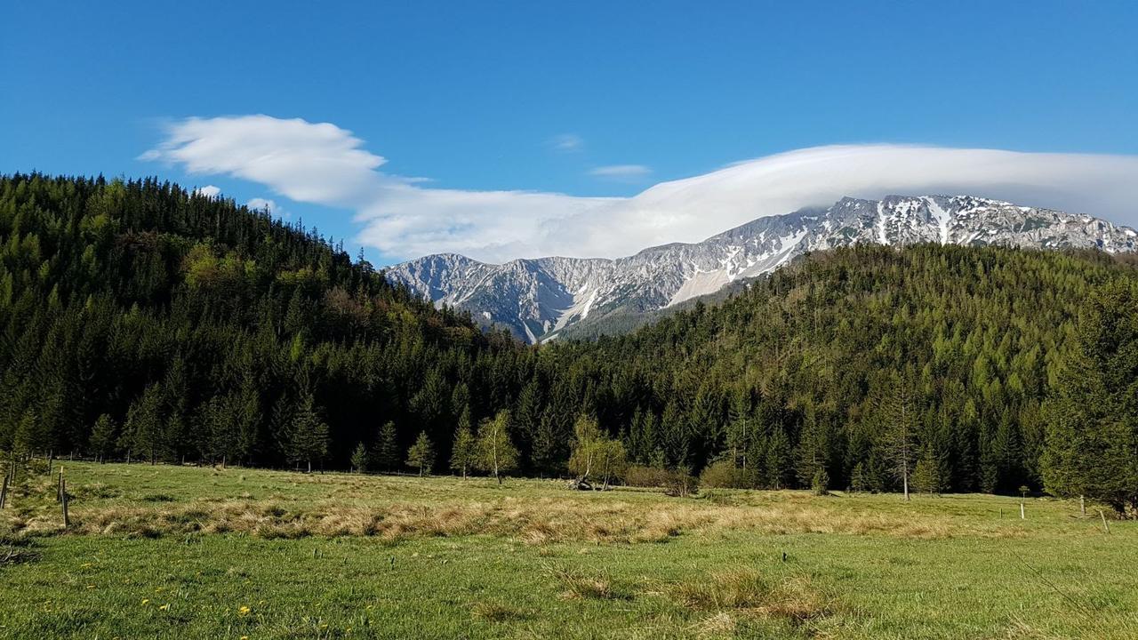 Ferienwohnungen Mamauwiese Gutenstein Luaran gambar