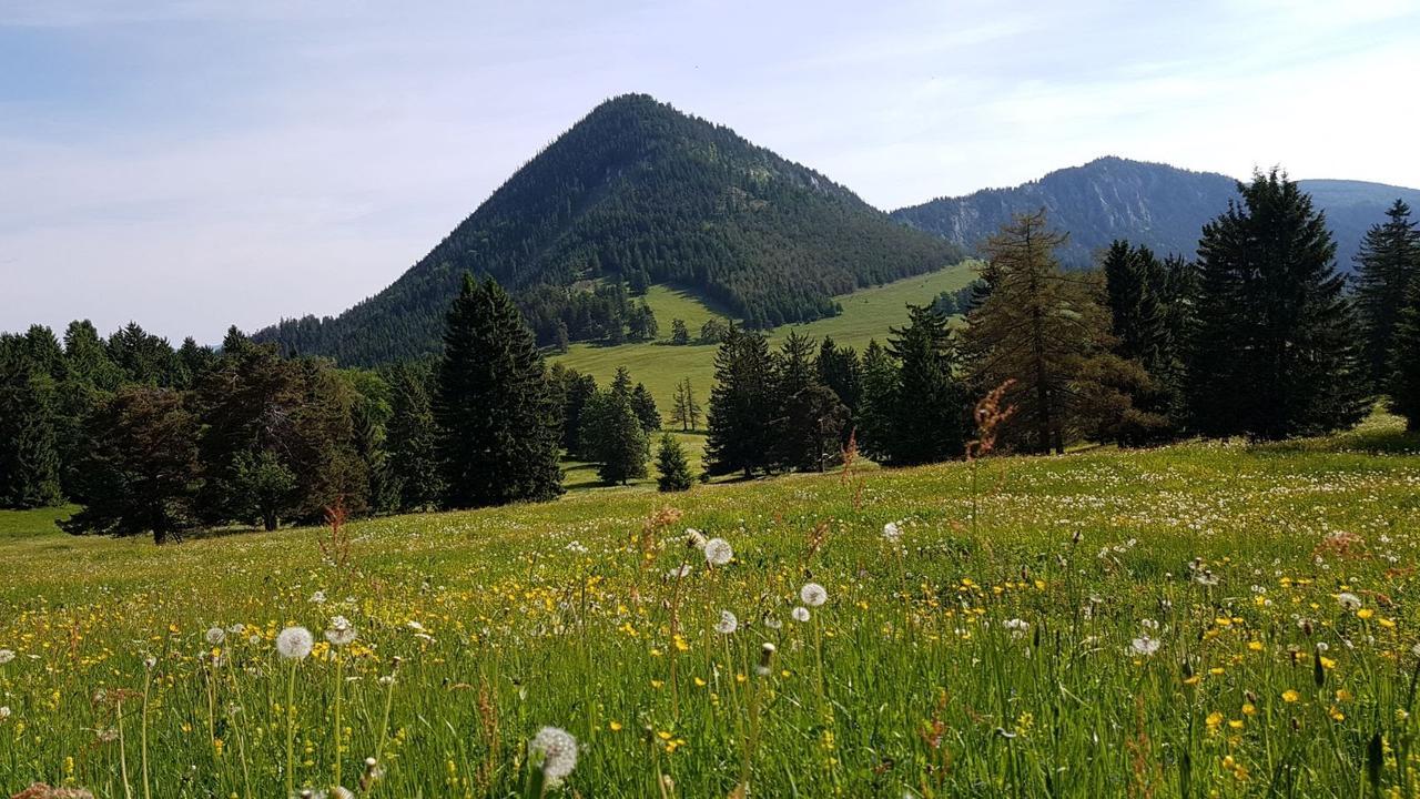 Ferienwohnungen Mamauwiese Gutenstein Luaran gambar