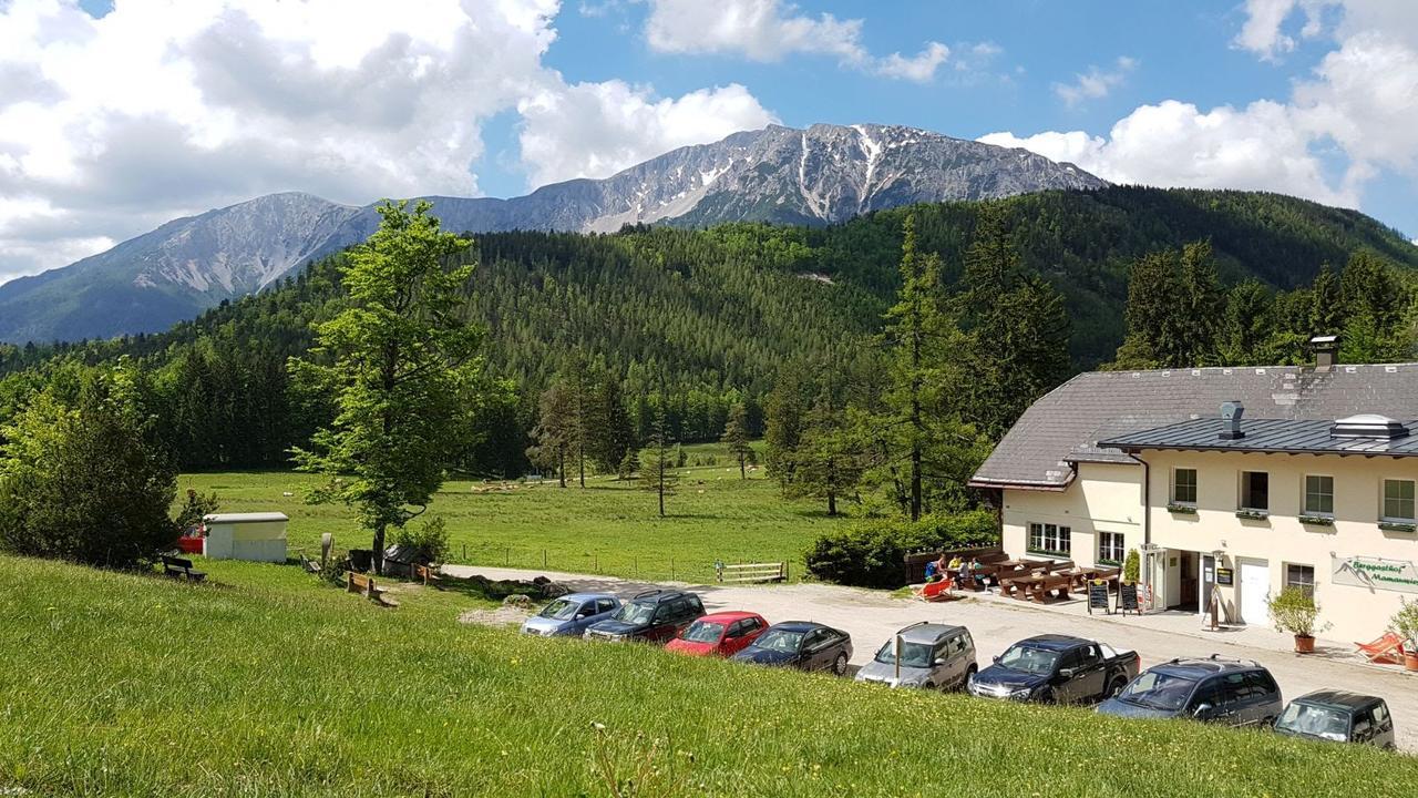 Ferienwohnungen Mamauwiese Gutenstein Luaran gambar