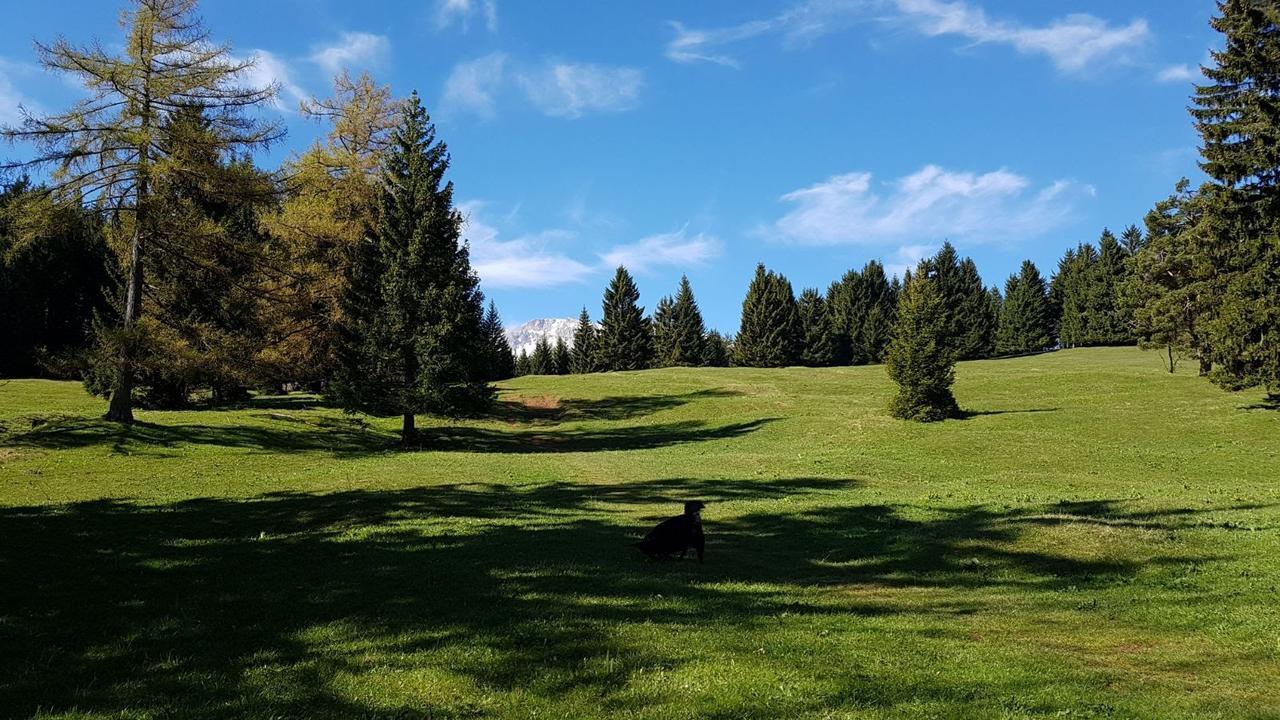 Ferienwohnungen Mamauwiese Gutenstein Luaran gambar