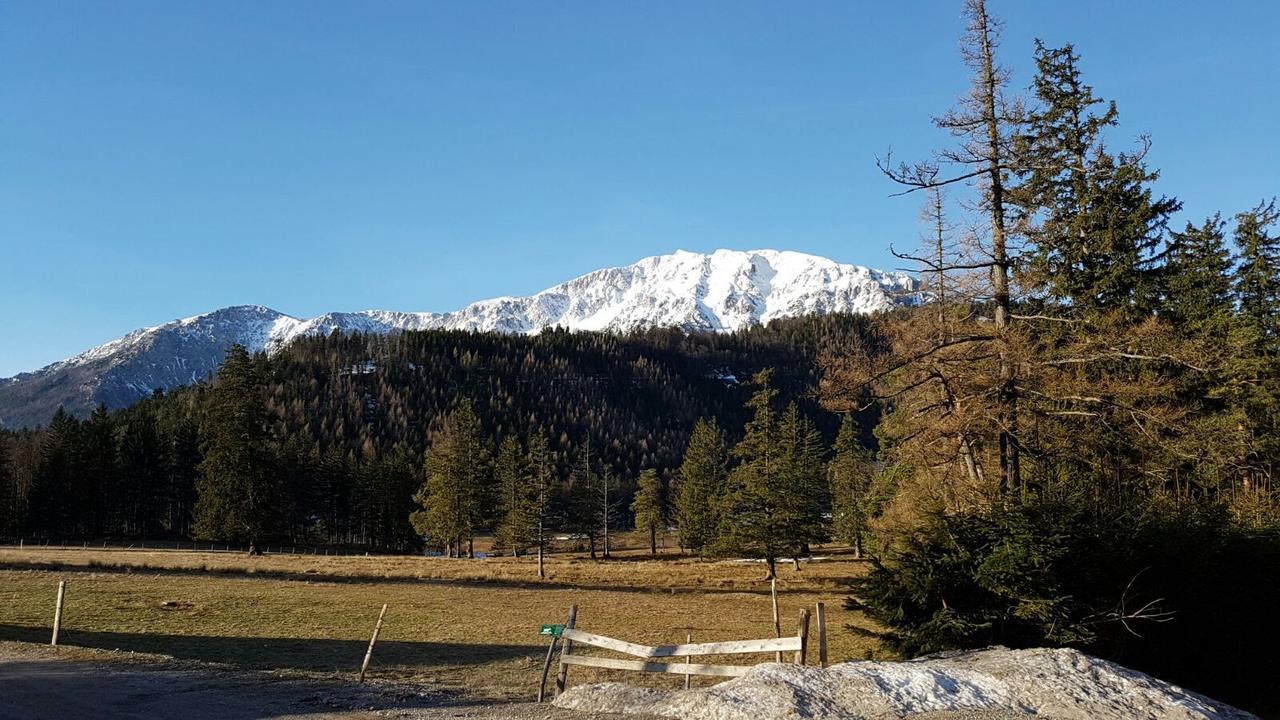 Ferienwohnungen Mamauwiese Gutenstein Luaran gambar