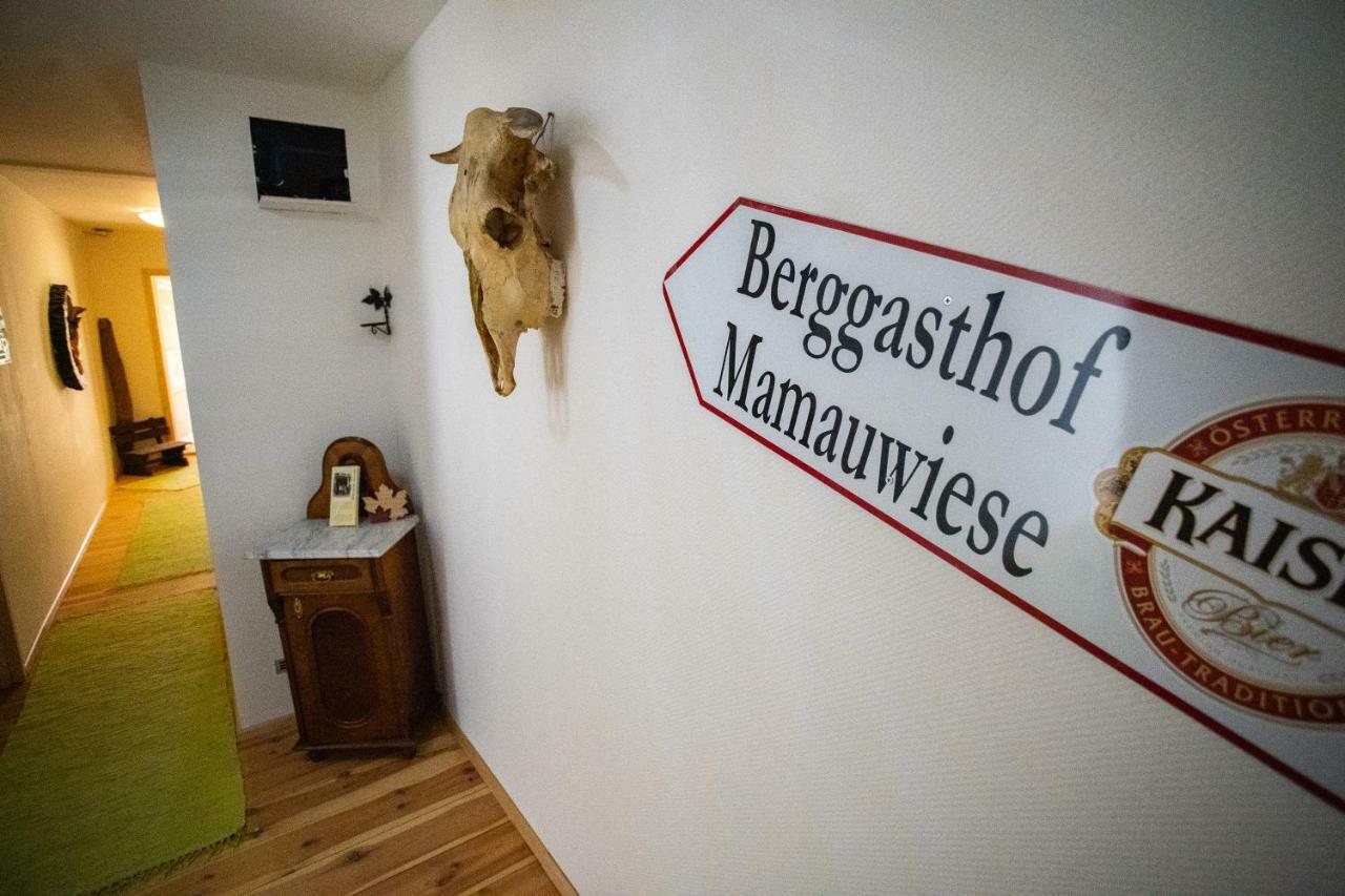 Ferienwohnungen Mamauwiese Gutenstein Luaran gambar